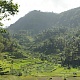 Зеленый остров Бали